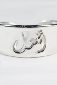 Silver Ring           
