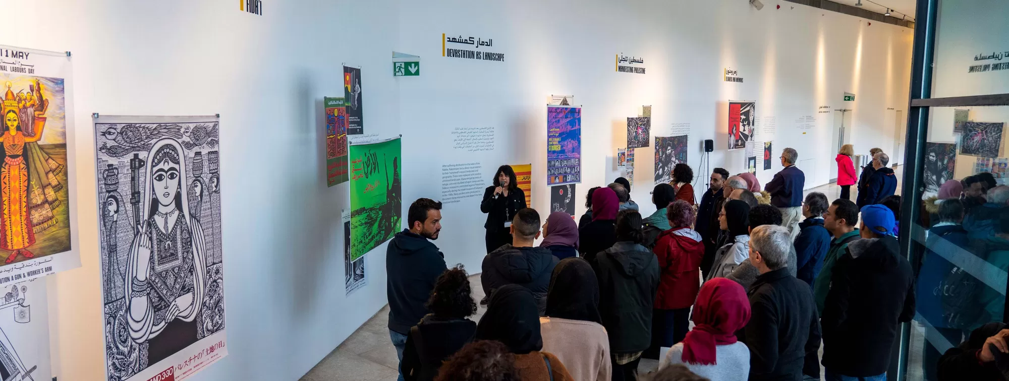 Glimmer of A Grove Beyond