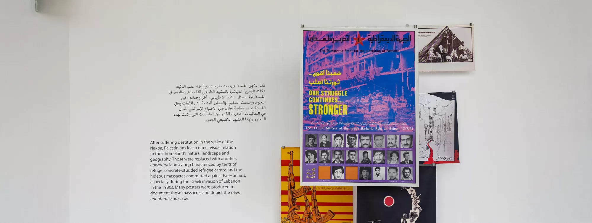 Glimmer of A Grove Beyond