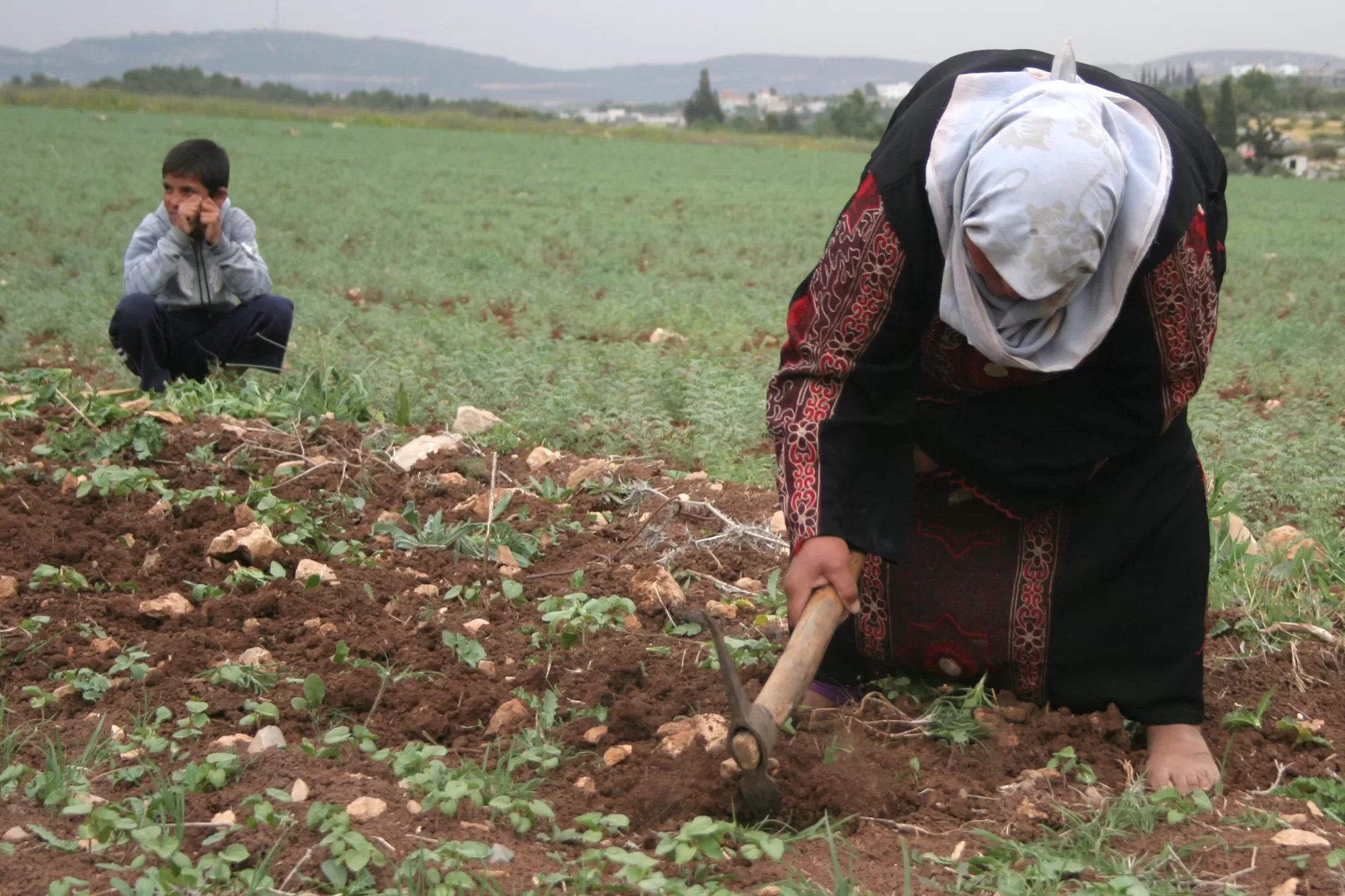 امرأة فلسطينية تحرث الارض