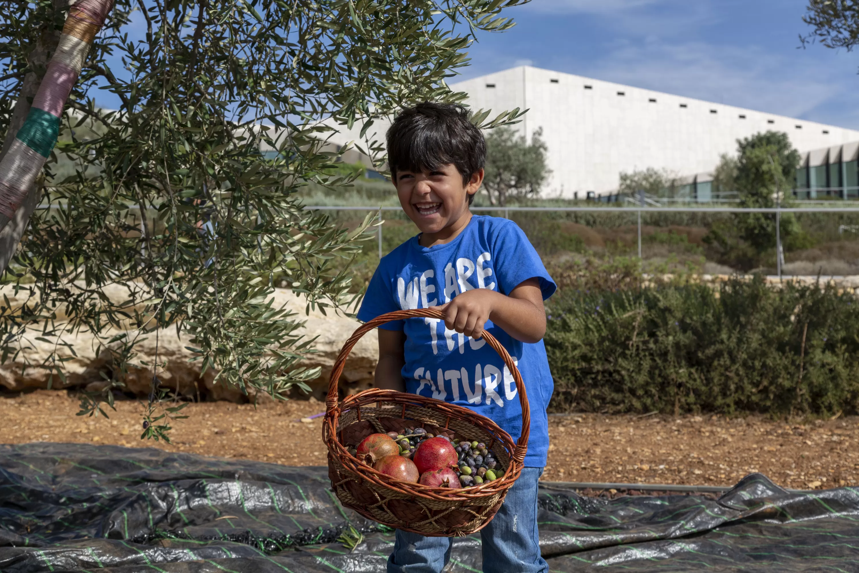 Olive Harvest and Workshop